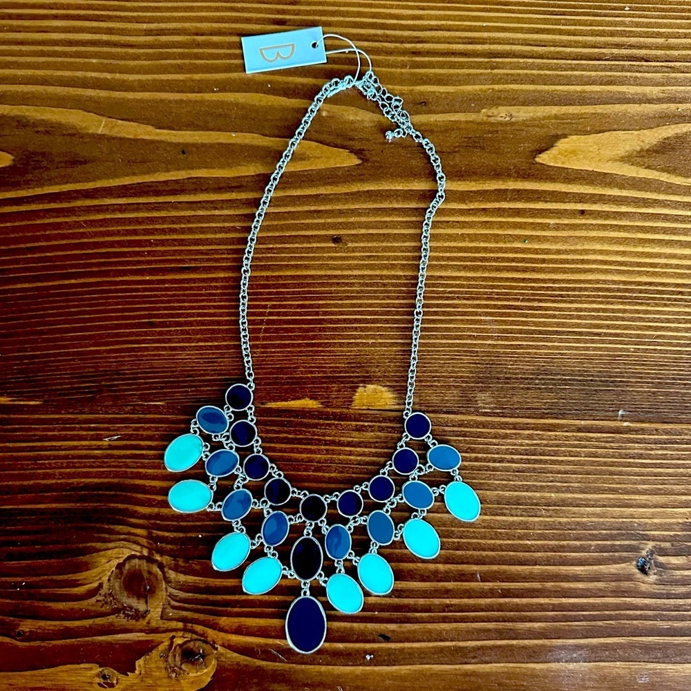 New! 🩵 Bancroft Collin Enamel Oval Bib Necklace